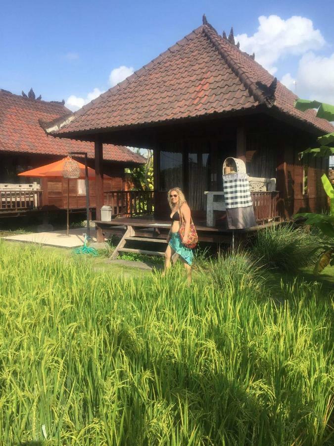 克拉玛斯 克拉玛冲浪营地旅馆酒店 外观 照片
